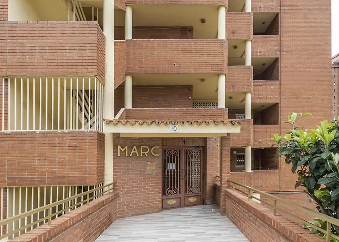 Marc 8-D